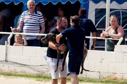 This is two year old Droopys Groom being carried off the track after a fall at Henlow
