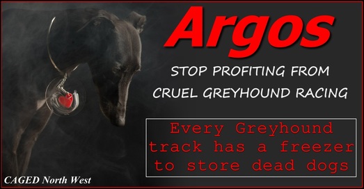 Argos greyhound racing