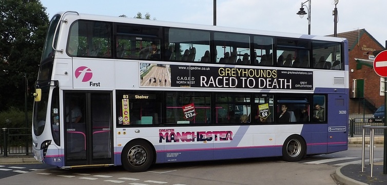 Greyhound Bus Manchester 