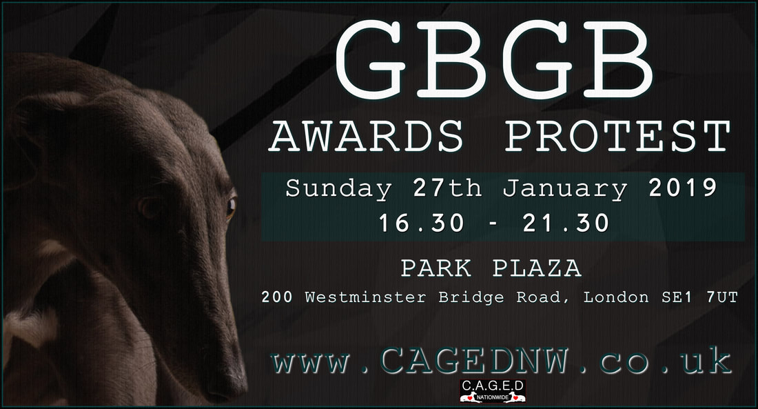 gbgb awards 
