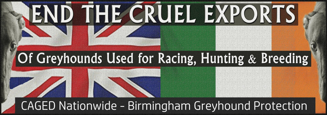 End greyhound exports 