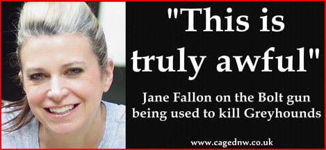 Jane Fallon 